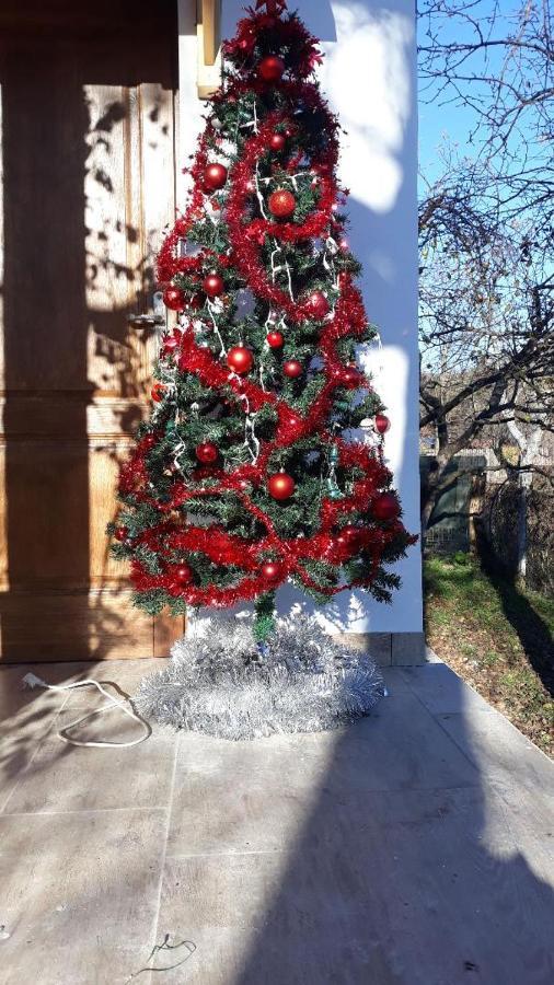 Pensiunea Dodo Patarlagele Zewnętrze zdjęcie