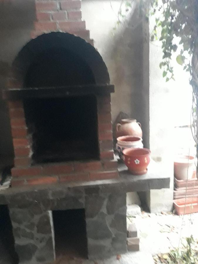 Pensiunea Dodo Patarlagele Zewnętrze zdjęcie