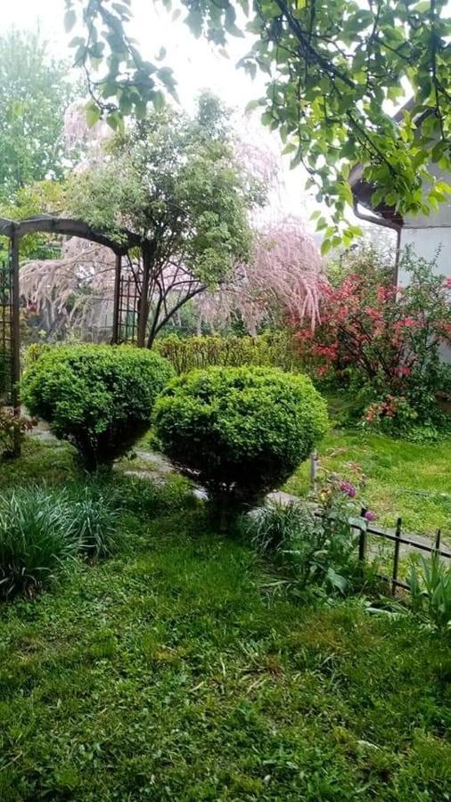 Pensiunea Dodo Patarlagele Zewnętrze zdjęcie